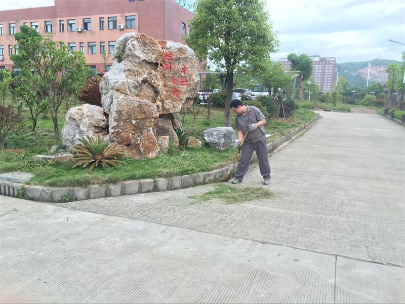 全员加入，，建设卫生厂区