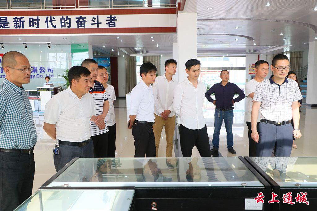 乐盈welcome新能源有限公司一行来通城考察投资情形-乐盈welcome
